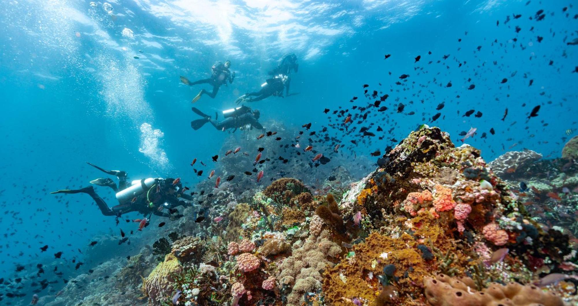 Casalay Boutique Villas & Dive プエルト・ガレラ エクステリア 写真